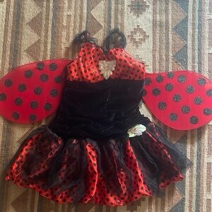 Girls ladybug costume says large, but I think it’s a small medium